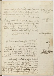 Vogelvluchtcode, c. 1505-06, blad 15 recto